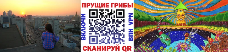 как найти наркотики  Азов  Псилоцибиновые грибы GOLDEN TEACHER 